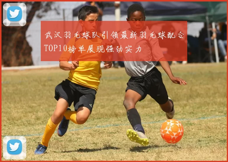 武汉羽毛球队引领最新羽毛球配合TOP10榜单展现强劲实力