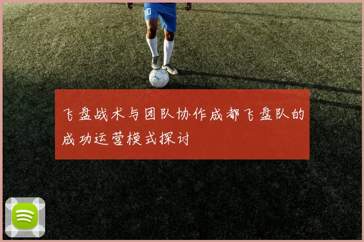 飞盘战术与团队协作成都飞盘队的成功运营模式探讨