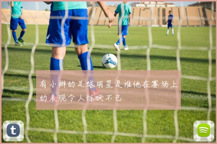 有小辫的足球明星是谁他在赛场上的表现令人惊叹不已
