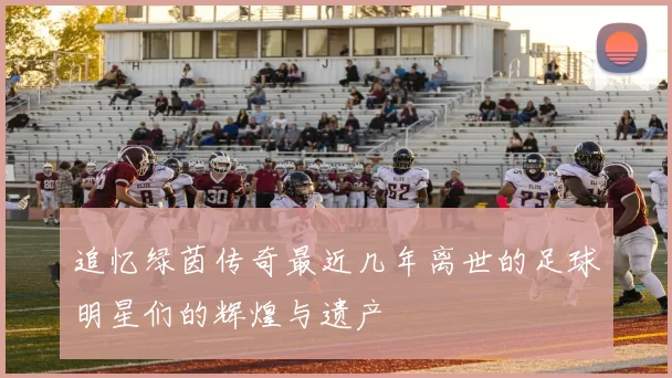 追忆绿茵传奇最近几年离世的足球明星们的辉煌与遗产
