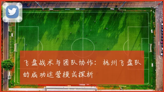 飞盘战术与团队协作：杭州飞盘队的成功运营模式探析