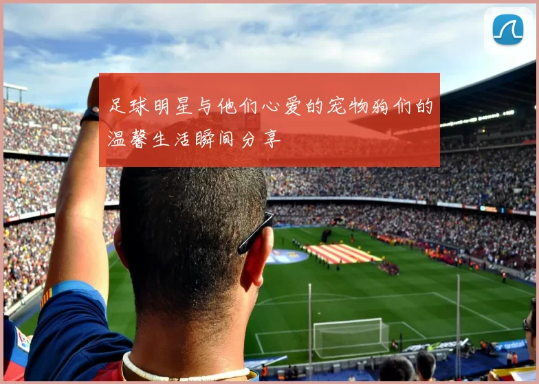 足球明星与他们心爱的宠物狗们的温馨生活瞬间分享