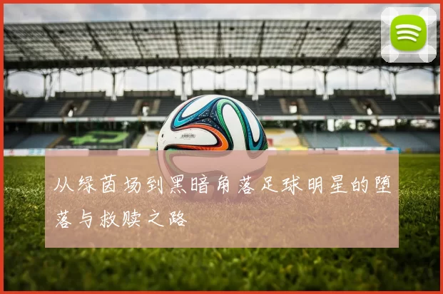 从绿茵场到黑暗角落足球明星的堕落与救赎之路