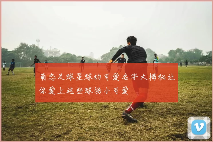 萌态足球星球的可爱名字大揭秘让你爱上这些球场小可爱