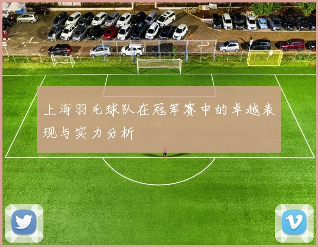 上海羽毛球队在冠军赛中的卓越表现与实力分析