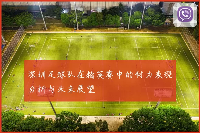深圳足球队在精英赛中的耐力表现分析与未来展望