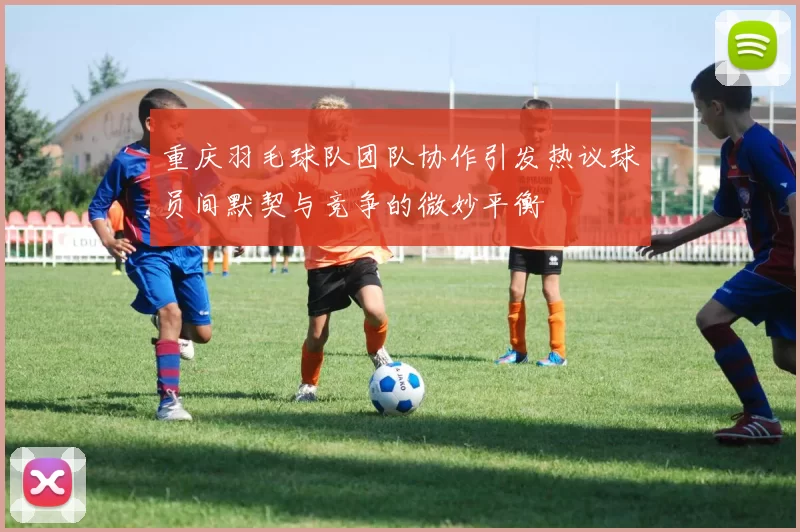 重庆羽毛球队团队协作引发热议球员间默契与竞争的微妙平衡