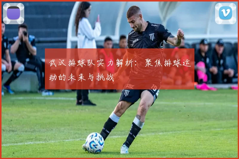 武汉排球队实力解析：聚焦排球运动的未来与挑战