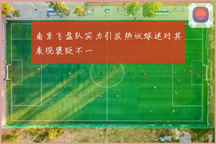 南京飞盘队实力引发热议球迷对其表现褒贬不一