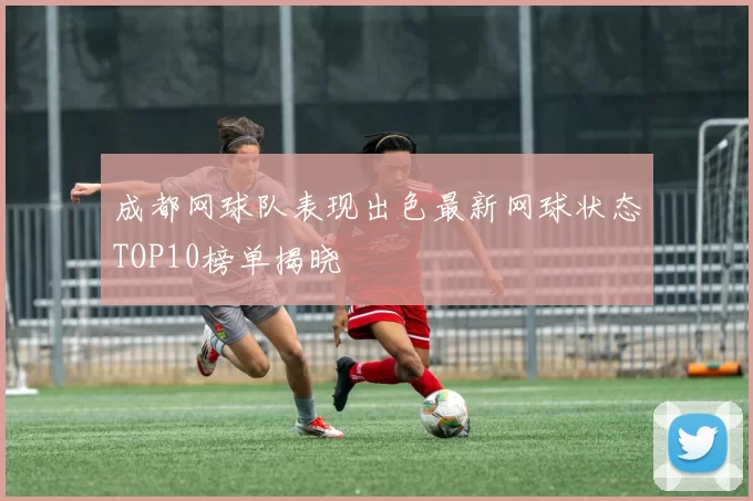 成都网球队表现出色最新网球状态TOP10榜单揭晓