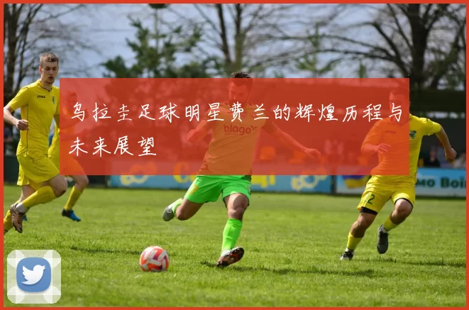 乌拉圭足球明星费兰的辉煌历程与未来展望
