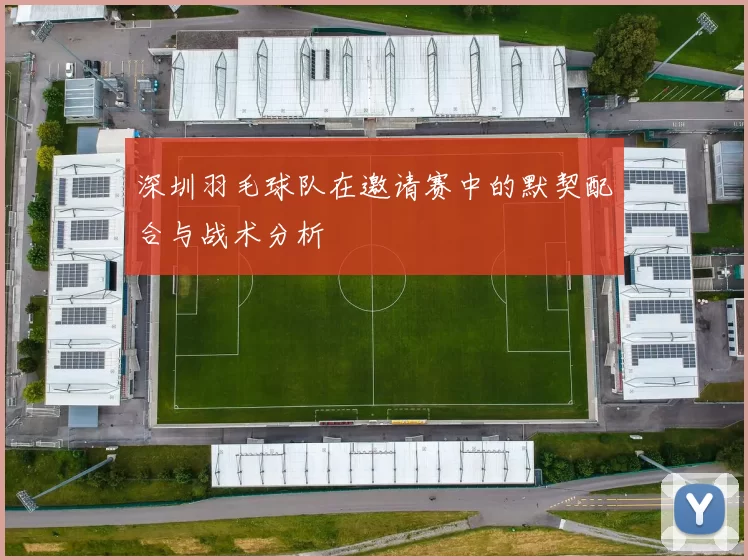 深圳羽毛球队在邀请赛中的默契配合与战术分析