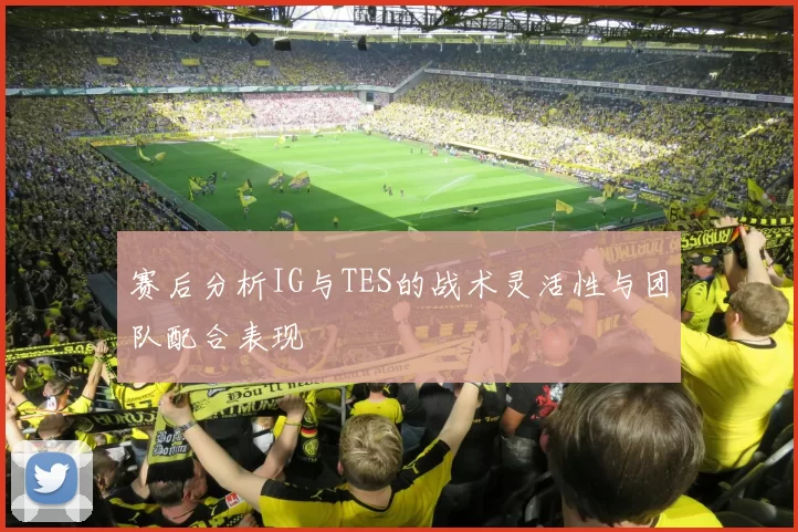 赛后分析IG与TES的战术灵活性与团队配合表现
