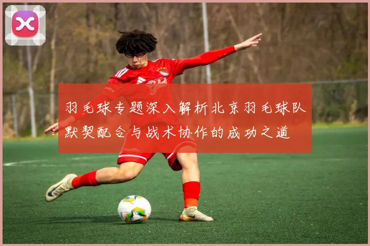 羽毛球专题深入解析北京羽毛球队默契配合与战术协作的成功之道