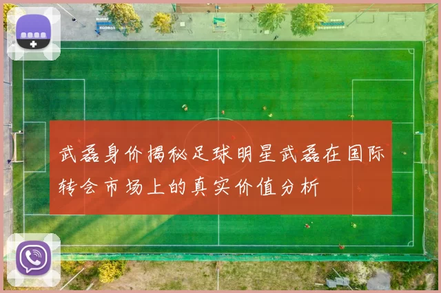武磊身价揭秘足球明星武磊在国际转会市场上的真实价值分析