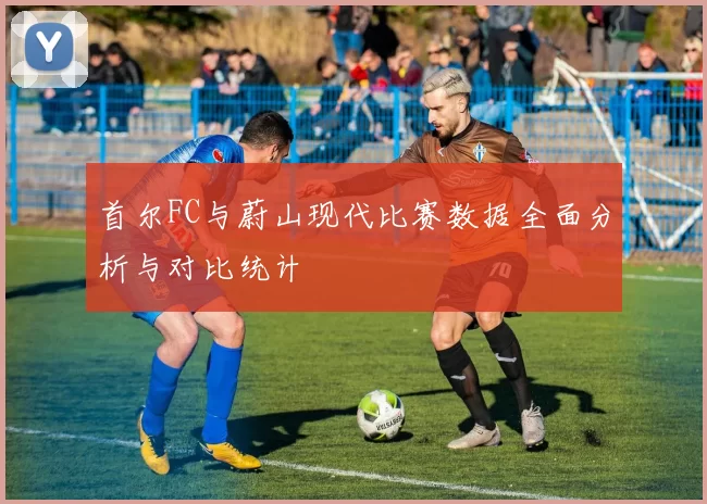 首尔FC与蔚山现代比赛数据全面分析与对比统计