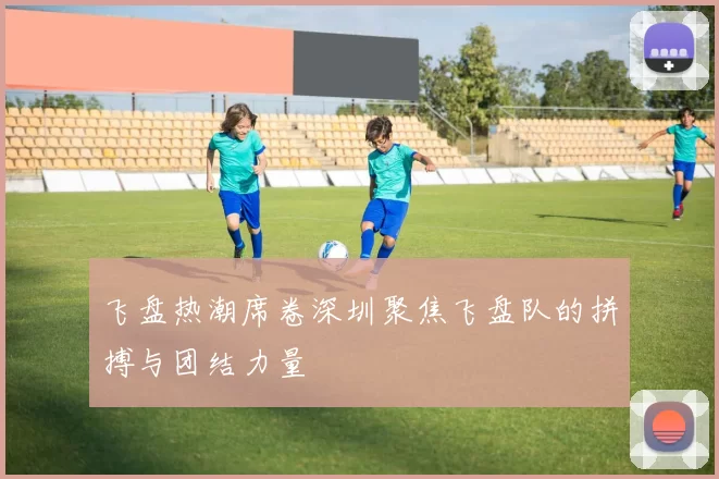 飞盘热潮席卷深圳聚焦飞盘队的拼搏与团结力量