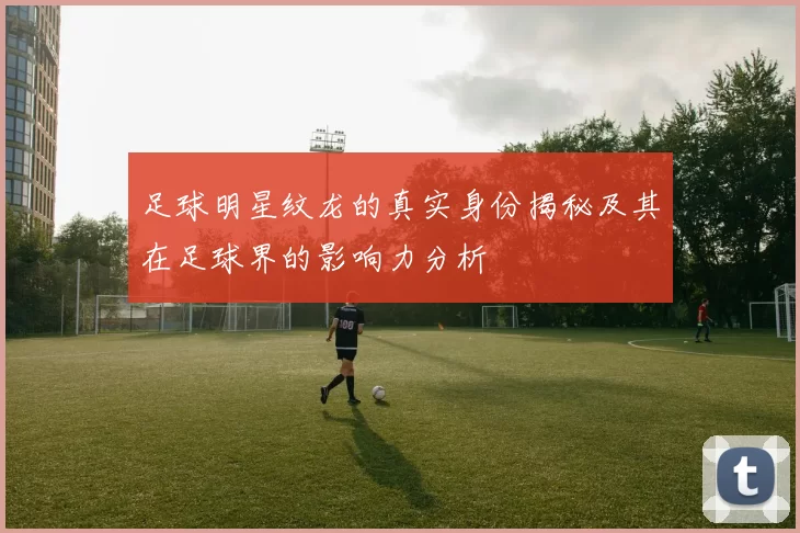 足球明星纹龙的真实身份揭秘及其在足球界的影响力分析