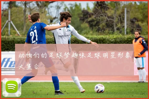动物们的足球梦趣味足球明星形象大集合