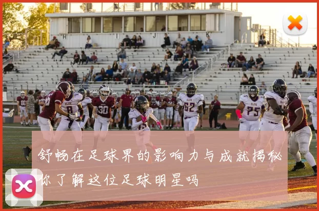 舒畅在足球界的影响力与成就揭秘你了解这位足球明星吗