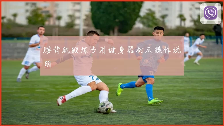 腰背肌锻炼专用健身器材及操作说明