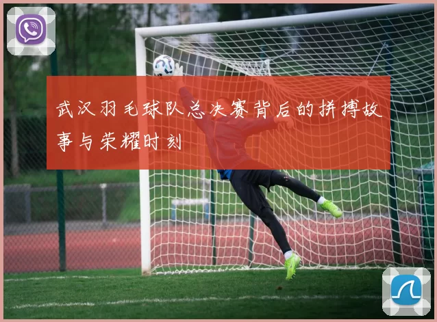 武汉羽毛球队总决赛背后的拼搏故事与荣耀时刻