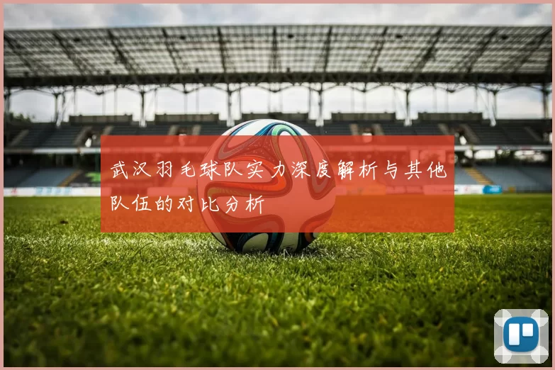 武汉羽毛球队实力深度解析与其他队伍的对比分析