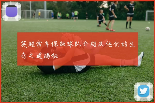 英超常年保级球队介绍及他们的生存之道揭秘